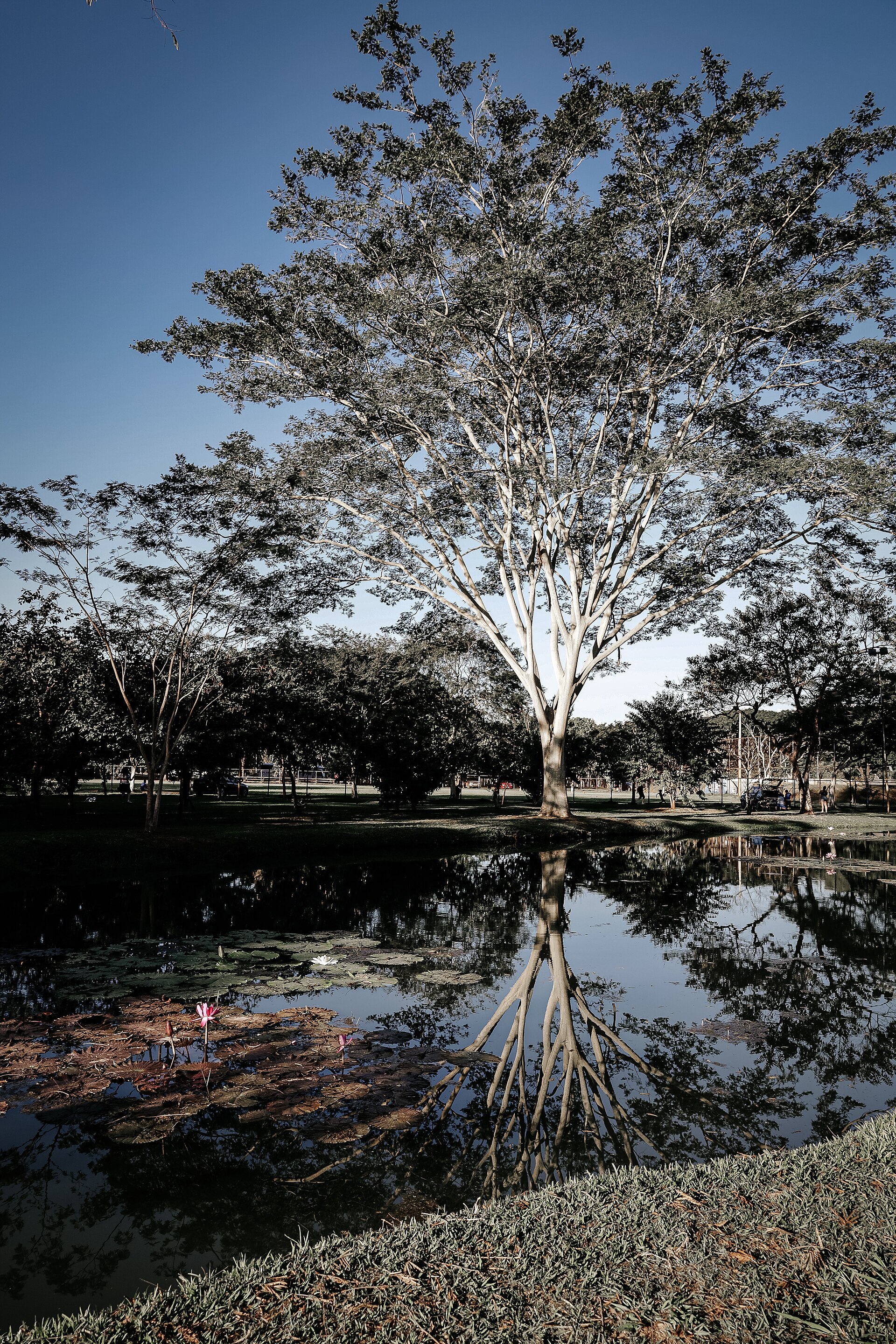 Imagem de referência de Área de Proteção Ambiental Barreiro Rico, descrito nos dados abertos como área de Proteção Ambiental Barreiro Rico de nível Estadual, localizado (a) em Anhembi (SP), Botucatu (SP), Piracicaba (SP), São Pedro (SP)