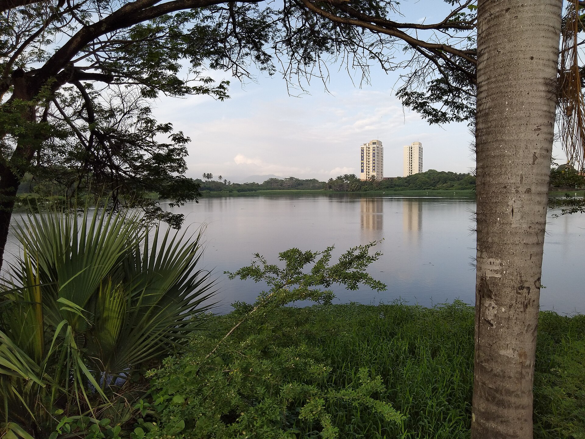 Imagem de referência de Área de Proteção Ambiental da Lagoa da Maraponga, descrito nos dados abertos como área de Proteção Ambiental da Lagoa da Maraponga de nível Municipal, localizado (a) em Fortaleza (CE)