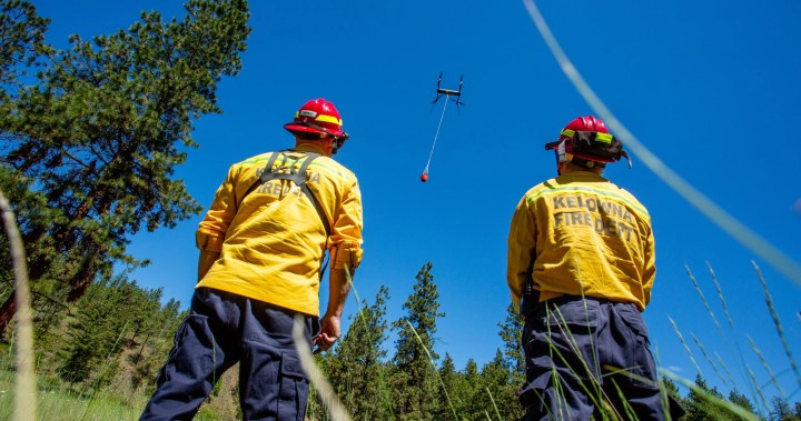 Drones podem assumir um papel maior no combate a incêndios florestais futuros