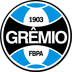 Imagem da matéria: Vasco quebra tabu histórico, vence Grêmio de virada e respira no Z4
