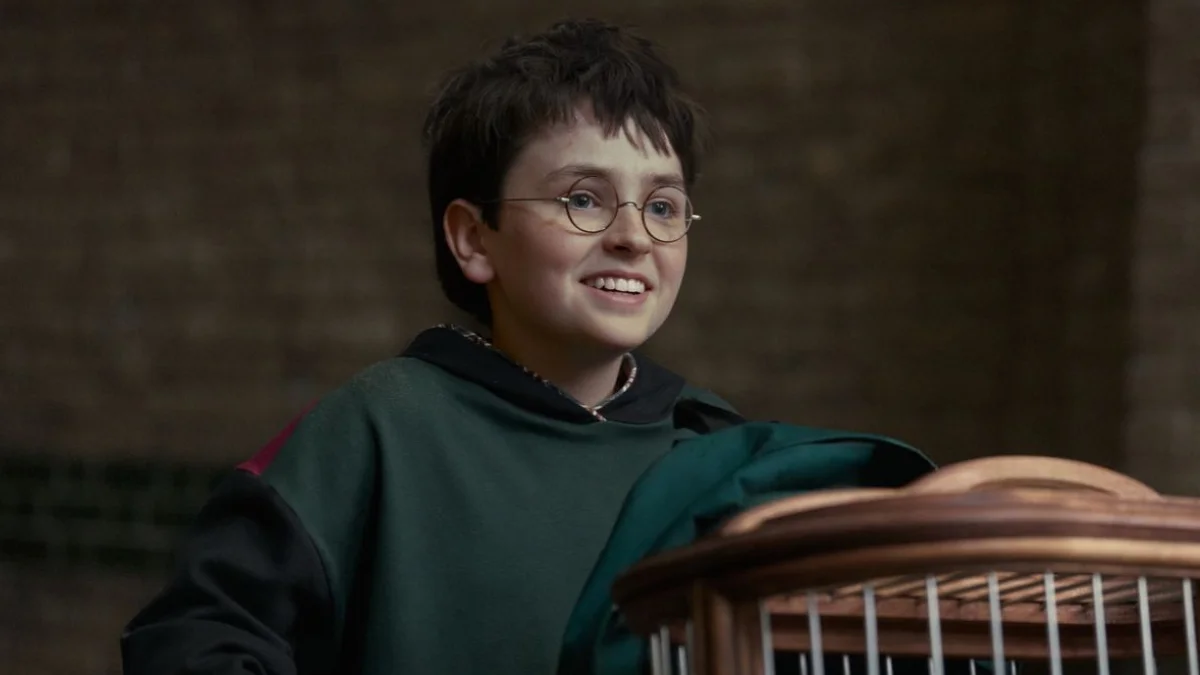 imagem de harry potter