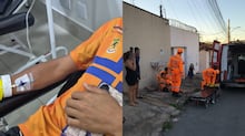 Após mais de 100 ferroadas, menina atacada por abelhas recebe alta hospitalar na Grande BH