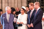 Entenda por que rei Charles chamou Harry e Meghan de “cidadãos privados”