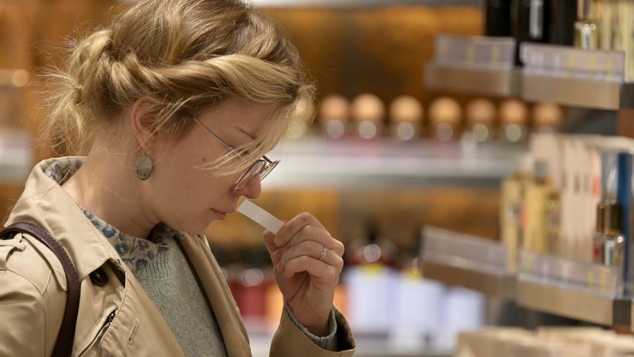 Político alemão Nimmer: a renúncia da UE ao gás russo atingirá a indústria