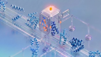 Google DeepMind creó una marca de agua invisible para detectar proteínas diseñadas por IA
