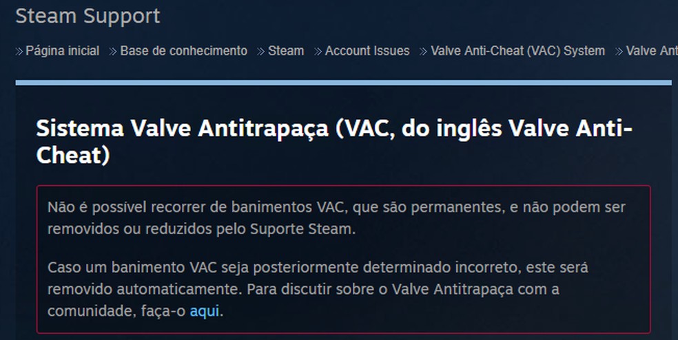 Steam Tools dá ban? Entenda como funciona o serviço e riscos de usar