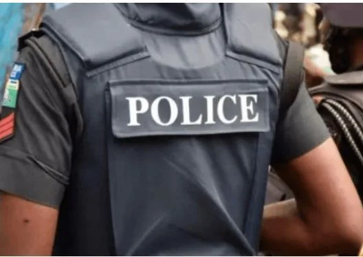 Imagem da matéria: Polícia devolve carros roubados recuperados e uma motocicleta aos proprietários em Kano