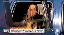 Cão farejador da polícia pode ter ajuda de ‘nariz eletrônico’ para identificar corpos humanos