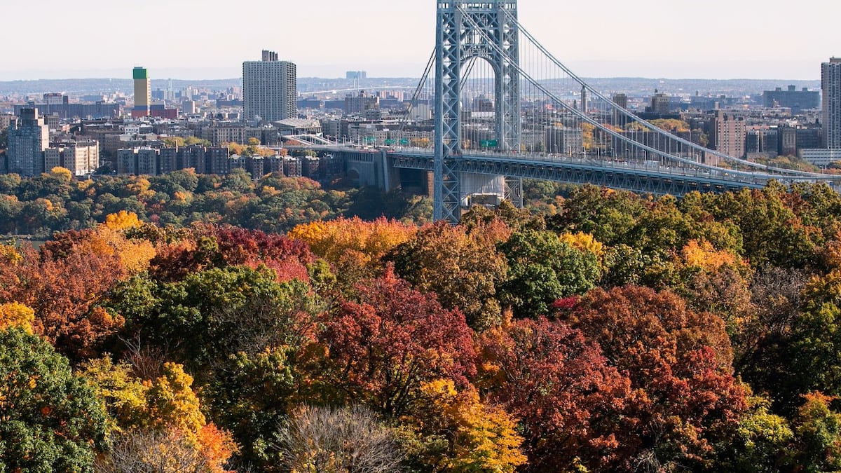 Driver shot to death in road rage incident on George Washington Bridge