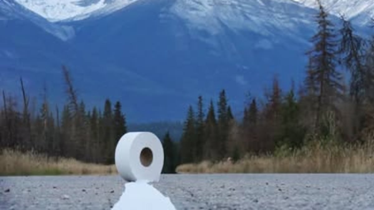 Nature calling: Banff, Jasper National Parks measure summer traffic through toilet paper