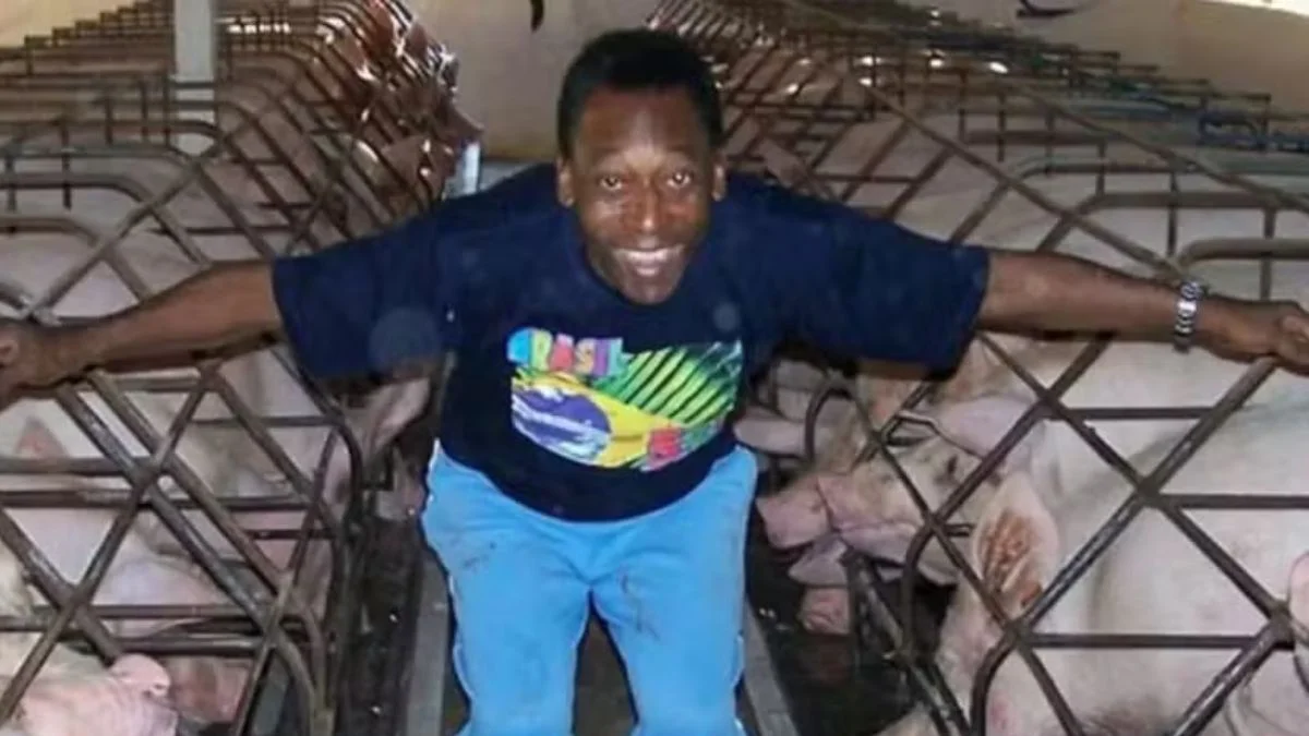 Sítio construído por Pelé foi vendido há mais de um ano. Veja fotos