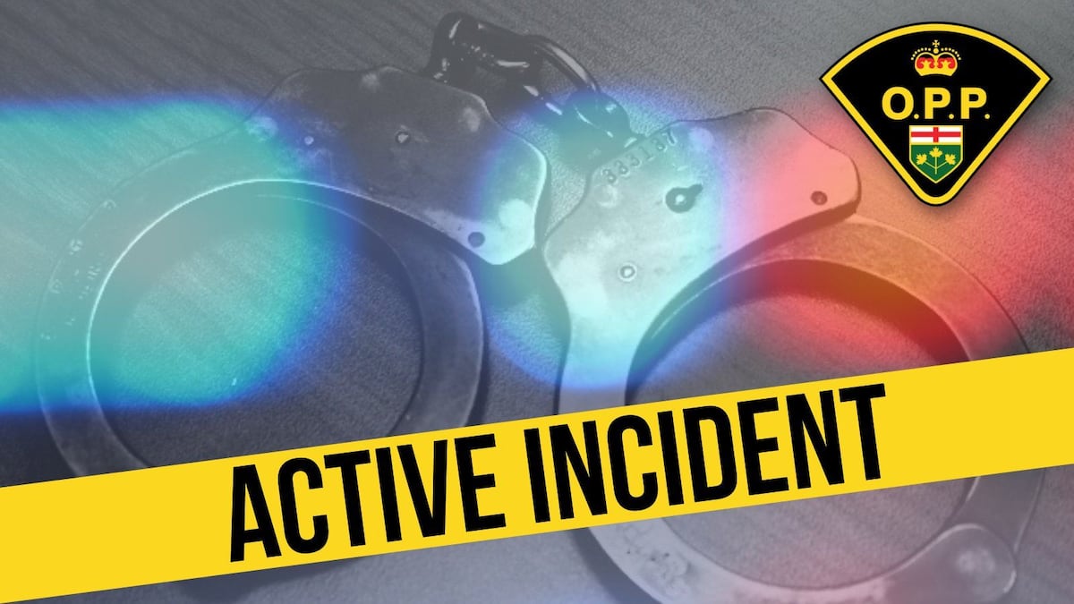 Residents asked to stay indoors, keep doors and windows locked near Belle River: OPP