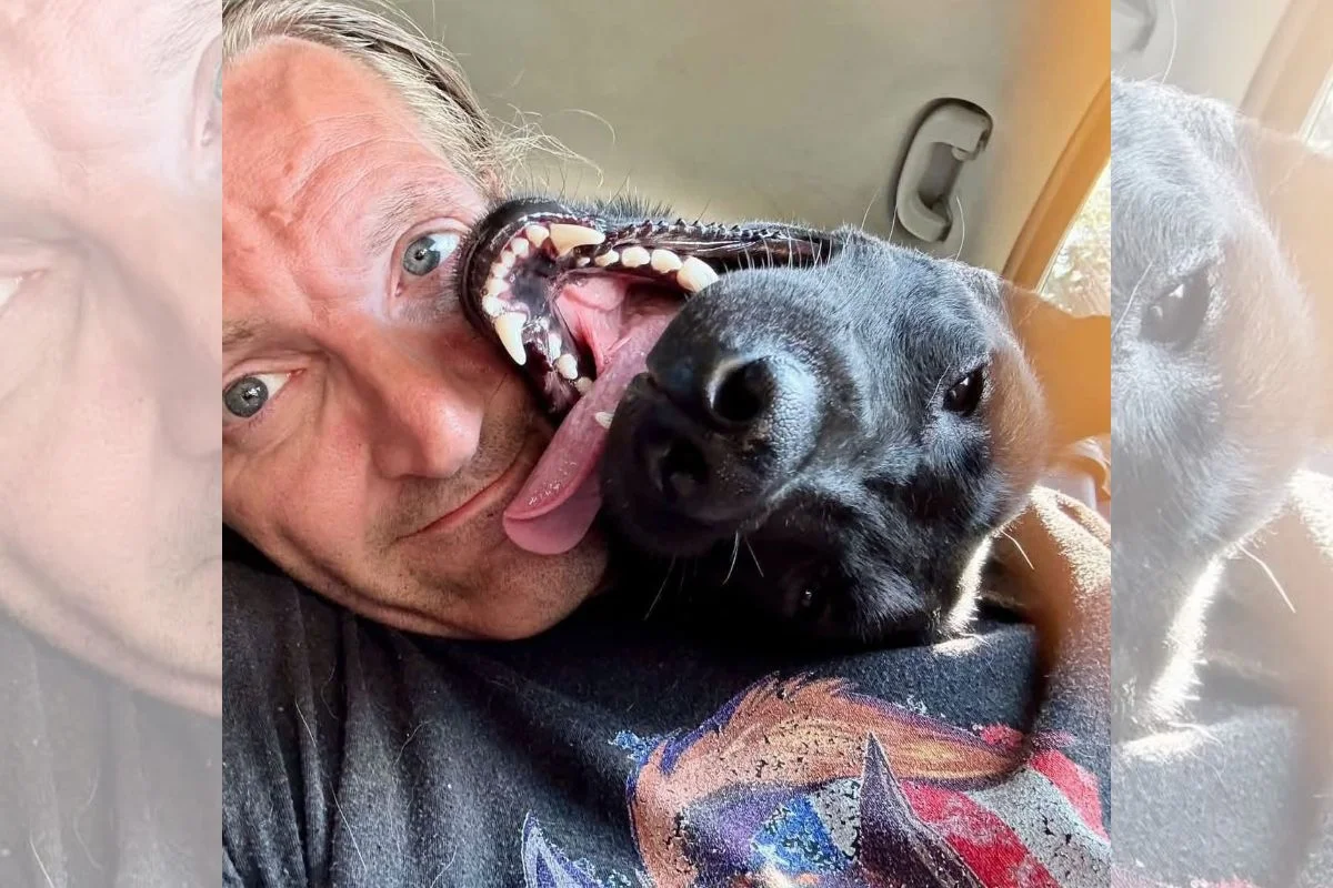 Tutor processa cidade nos EUA para evitar eutanásia de cão de serviço