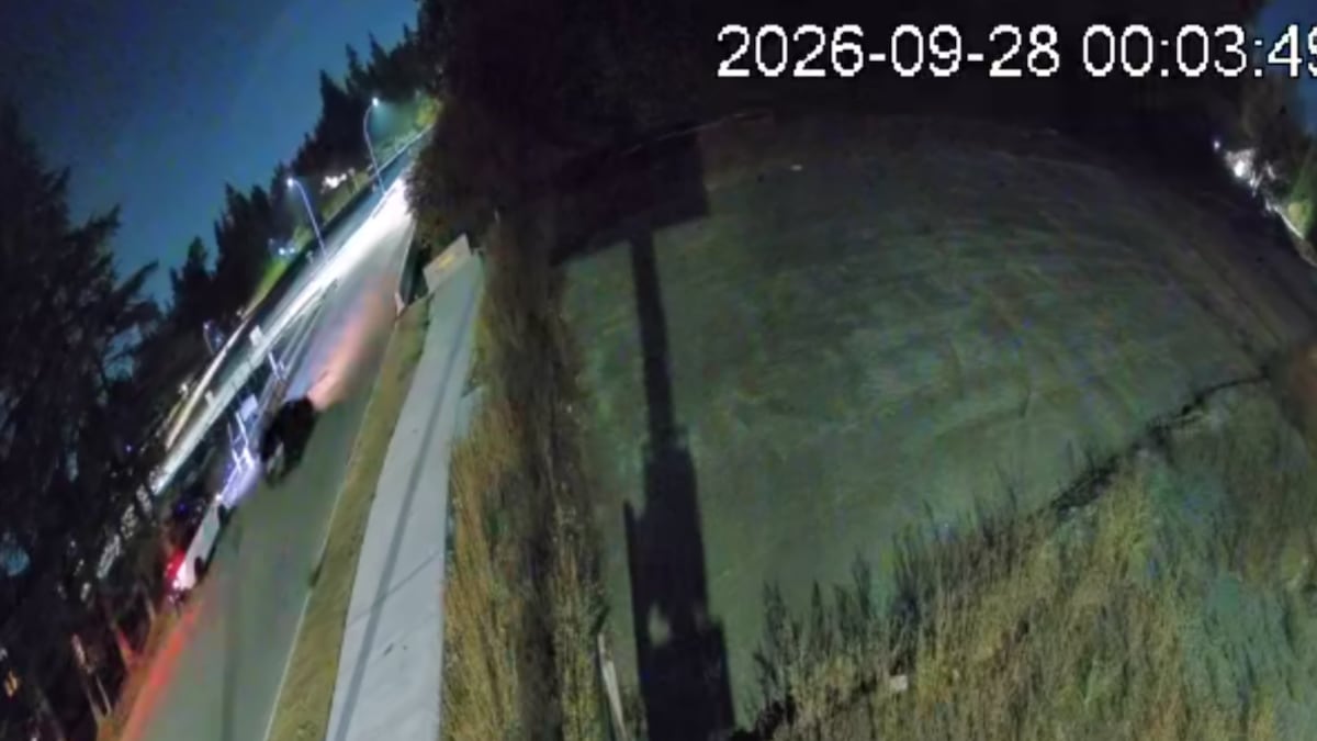 Langley RCMP seek vehicle occupants who may have witnessed shooting