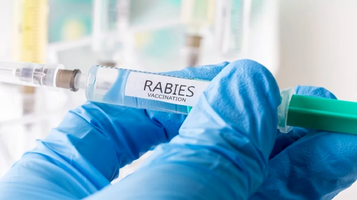 Rabid skunk captured in Vancouver bit ‘small number’ of people, officials say