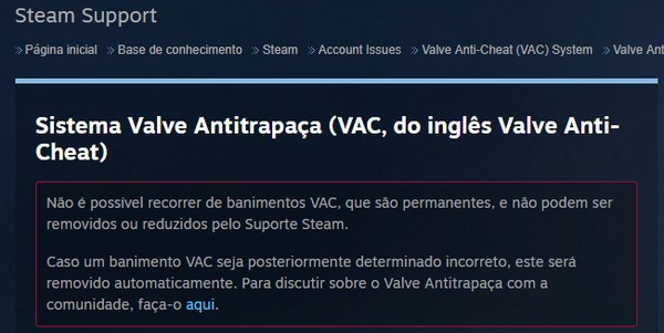 Steam Tools dá ban? Entenda como funciona o serviço e riscos de usar